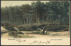 17456 Gezicht op de heide bij bij Lage Vuursche en Hilversum.